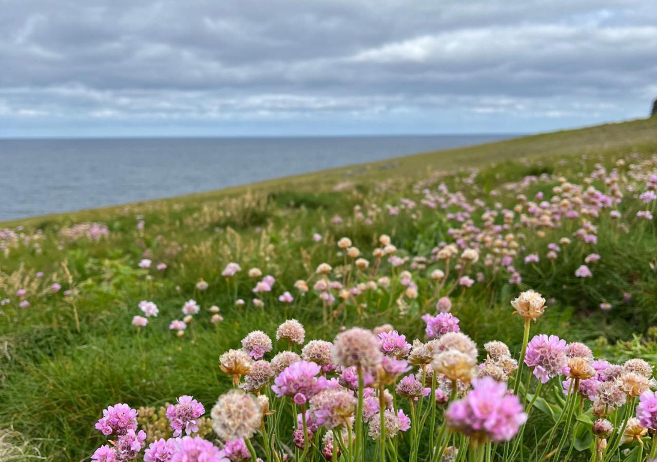 Loop Head Lighthouse Attendant'S Cottage Kilbaha Екстериор снимка